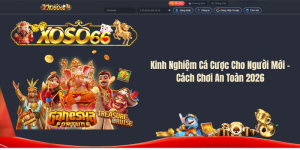 Kinh Nghiệm Cá Cược Cho Người Mới – Cách Chơi An Toàn 2026